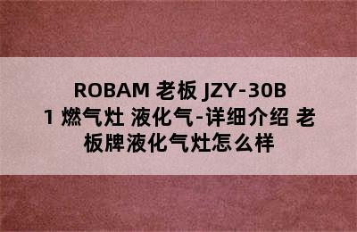 ROBAM 老板 JZY-30B1 燃气灶 液化气-详细介绍 老板牌液化气灶怎么样